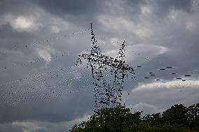 Installation of A High-Voltage Line - Essonne