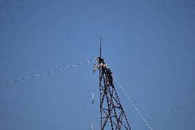 Installation of A High-Voltage Line - Essonne