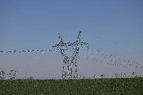 Installation of A High-Voltage Line - Essonne