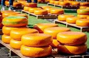 Gouda Cheese Market - Netherlands