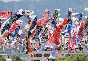 Akutagawa Sakurazutsumi Park “Koinobori Festa 1000