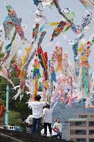 Akutagawa Sakurazutsumi Park “Koinobori Festa 1000