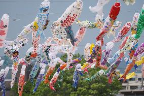 Akutagawa Sakurazutsumi Park “Koinobori Festa 1000