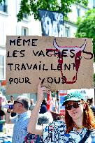 Labour Day Rally - Paris