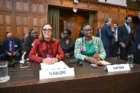 45 Countries Take Israel to ICJ - The Hague