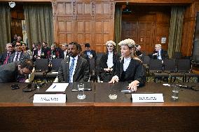 45 Countries Take Israel to ICJ - The Hague
