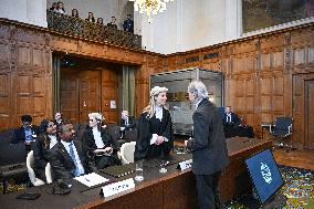 45 Countries Take Israel to ICJ - The Hague