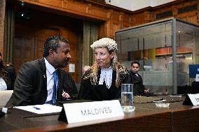 45 Countries Take Israel to ICJ - The Hague