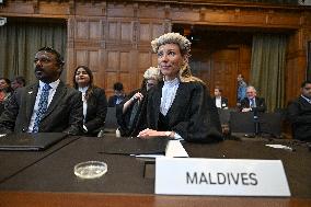 45 Countries Take Israel to ICJ - The Hague