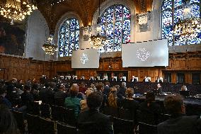 45 Countries Take Israel to ICJ - The Hague