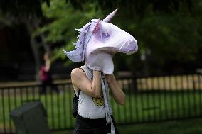 Free Abrego Rally At White House - Washington
