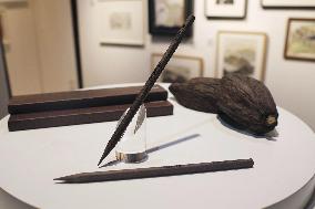 Pencils made from cacao hulls