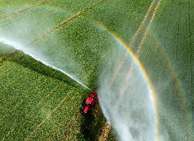 Irrigate Wheat