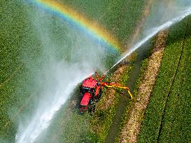 Irrigate Wheat