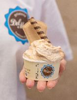Special Franciscus Ice Cream Flavor - Italy