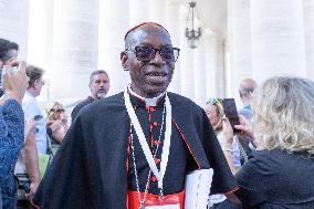 Cardinals At Eighth General Congregation - Vatican