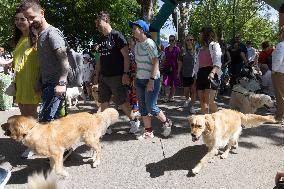 Dog Festival - Budapest
