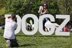Dog Festival - Budapest