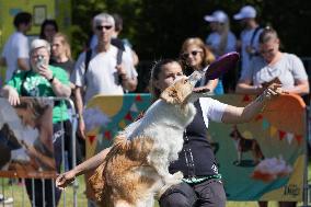 Dog Festival - Budapest