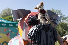 Dog Festival - Budapest