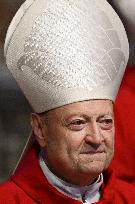Cardinals Attend the Seventh Novemdiale Mass - Vatican