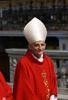 Cardinals Attend the Seventh Novemdiale Mass - Vatican