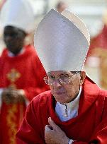 Cardinals Attend the Seventh Novemdiale Mass - Vatican
