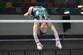 ALTRO - Ginnastica - Serie A Artistic Gymnastics