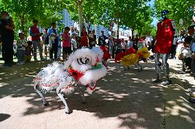 Robot Performance Show
