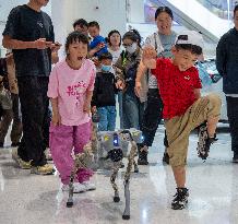 Robot Dog