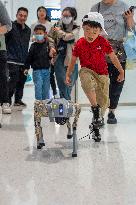 Robot Dog