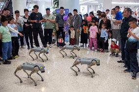 Robot Dog