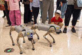 Robot Dog