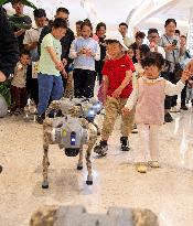 Robot Dog