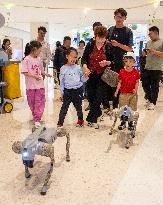 Robot Dog