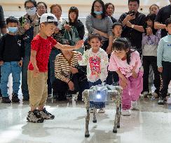 Robot Dog