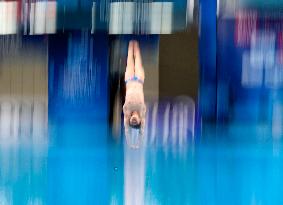 Aquatics Diving World Cup 2025 Super Final - China