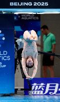 Aquatics Diving World Cup 2025 Super Final - China