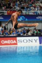 Aquatics Diving World Cup 2025 Super Final - China