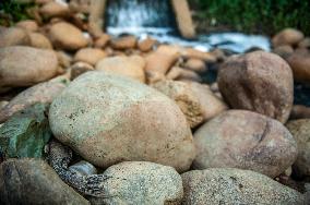 Deli River Pollution in Medan - Indonesia