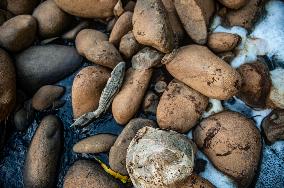 Deli River Pollution in Medan - Indonesia