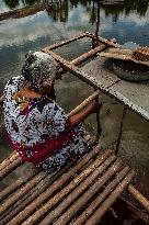 Carp Cultivation - Indonesia