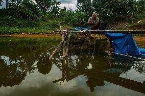Carp Cultivation - Indonesia