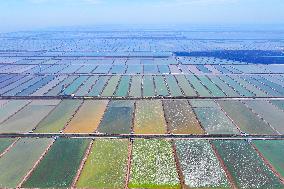 Xiangshui Salt Field in Yancheng