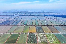 Xiangshui Salt Field in Yancheng