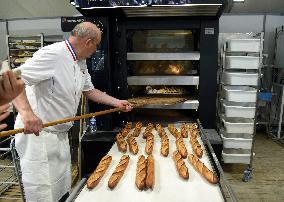 Illustration Artisanal Bakery - Paris