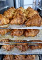 Illustration Artisanal Bakery - Paris