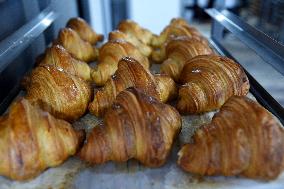 Illustration Artisanal Bakery - Paris