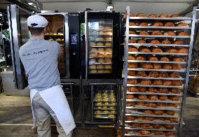 Illustration Artisanal Bakery - Paris