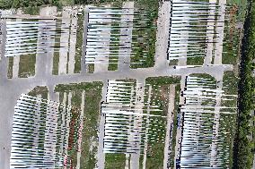 A Wind Turbine Blade Production Base in Yancheng